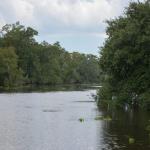 OTRA2014_1638 (September 03, 2014)